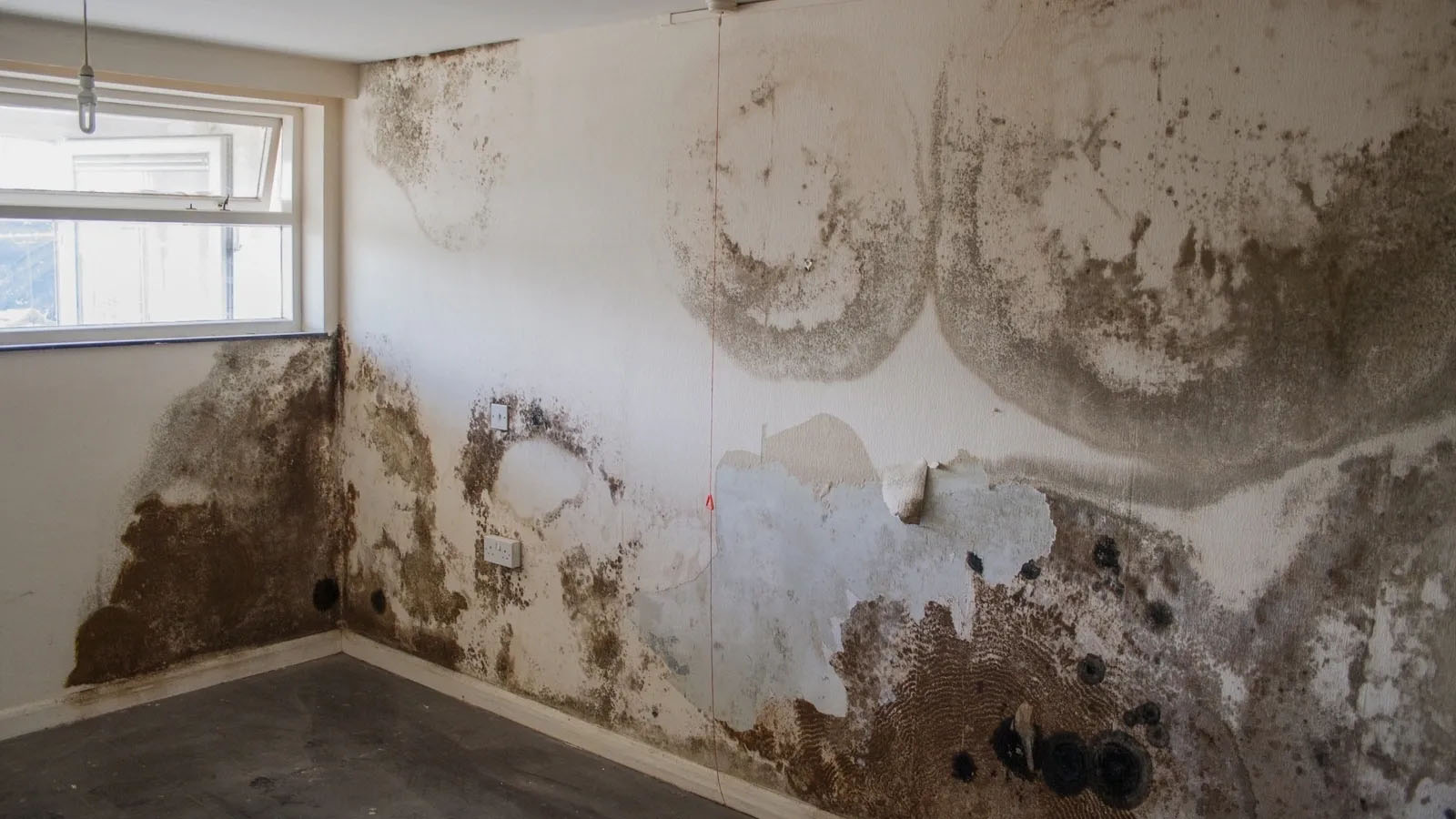 penetrating damp services